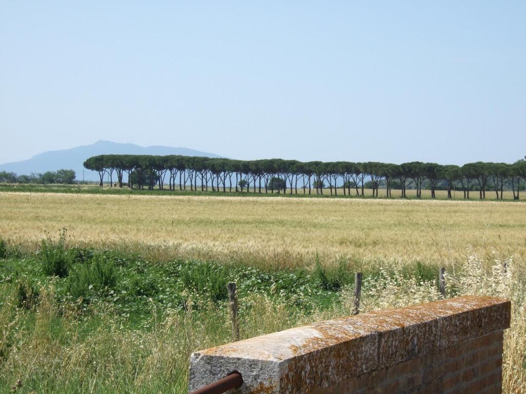 Вилла Agriturismo Tattarini Фонтебланда Экстерьер фото