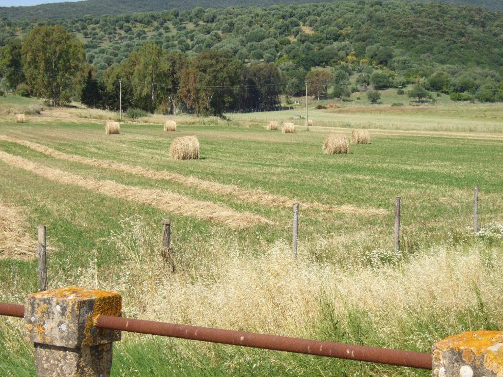 Вилла Agriturismo Tattarini Фонтебланда Экстерьер фото